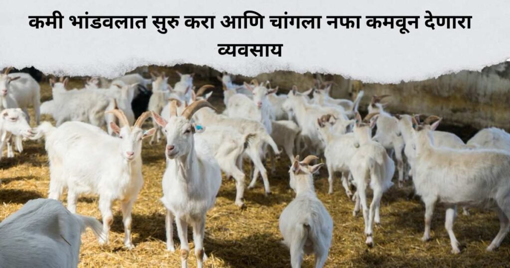 Bakri Palan Loan Yojana