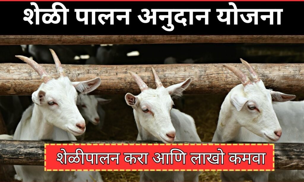 Sheli Palan Yojana 2025 Maharashtra